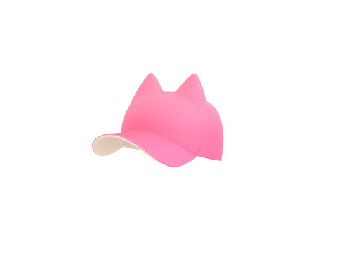 Prop121 Cat Cap 3D Model