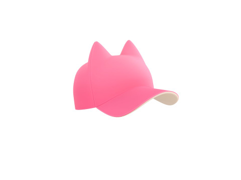 Prop121 Cat Cap 3D मॉडल