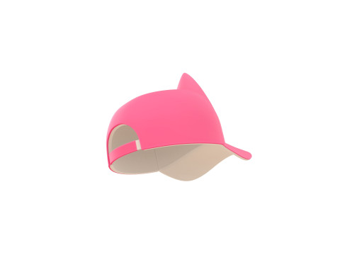 Prop121 Cat Cap 3D मॉडल