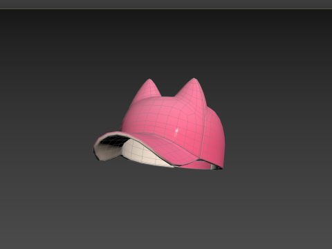 Prop121 Cat Cap 3D मॉडल