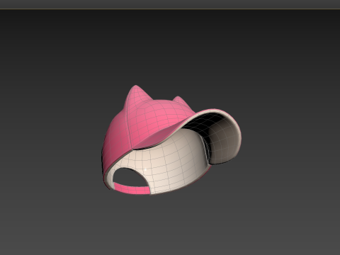 Prop121 Cat Cap 3D मॉडल