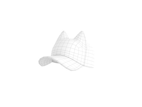 Prop121 Cat Cap 3D मॉडल