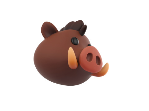 Prop163 Boar Head 3D 모델