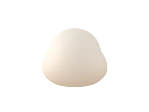 Prop169 Duck Head 3D Model