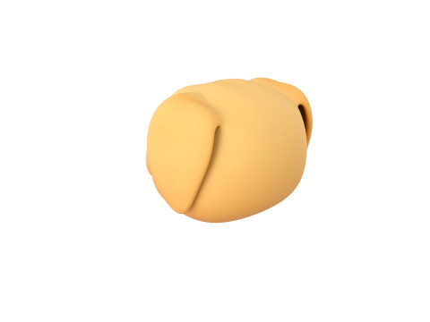 Prop175 Golden Retriever Dog Head 3D Model