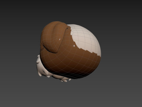 Prop190 Shih Tzu Dog Head 3D 모델