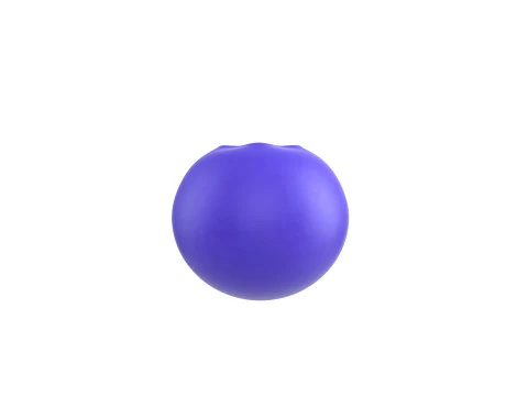 Prop196 Blueberry 3D Model