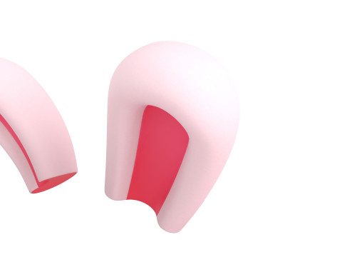 Prop198 Rabbit Ear Modelo 3D