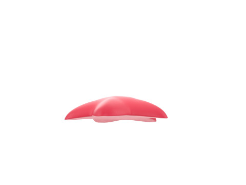 Prop202 Star Fish 3D 模型