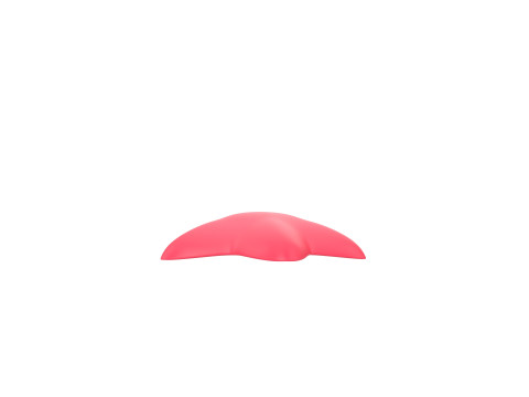 Prop202 Star Fish 3D 模型