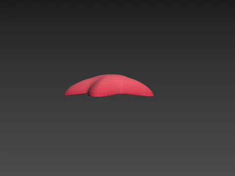 Prop202 Star Fish 3D Model