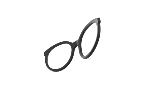 Prop212 안경 3D 모델