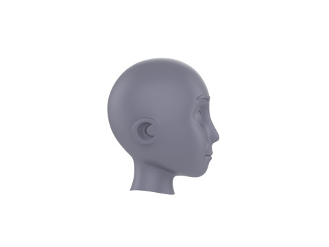 Prop225 Base Head Mesh Modelo 3D