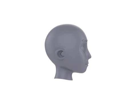 Prop225 Base Head Mesh 3D Model