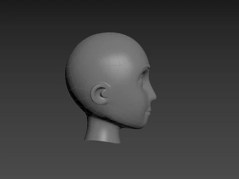 Prop225 Base Head Mesh 3D Model
