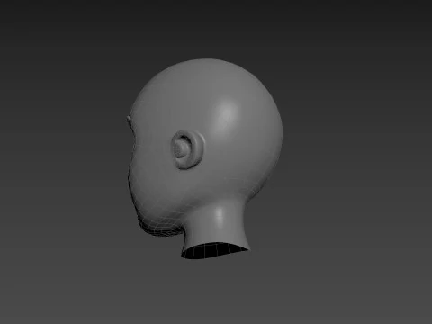 Prop225 Base Head Mesh 3D Model
