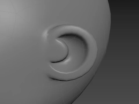 Prop225 Base Head Mesh 3D Model