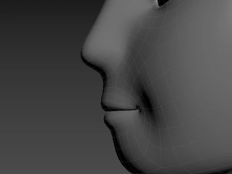 Prop225 Base Head Mesh 3D Model