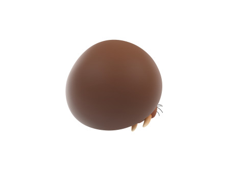 Prop239 Walrus Head 3D Модель