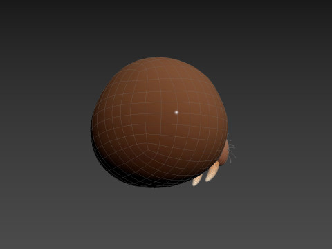 Prop239 Walrus Head 3D Модель