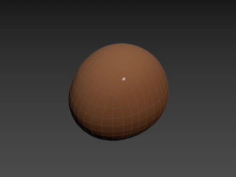 Prop239 Walrus Head 3D Model