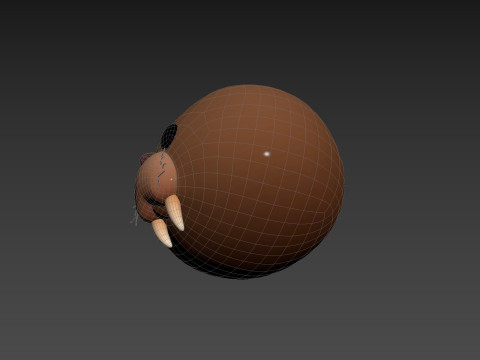 Prop239 Walrus Head 3D Модель