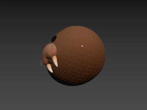 Prop239 Walrus Head 3D Model