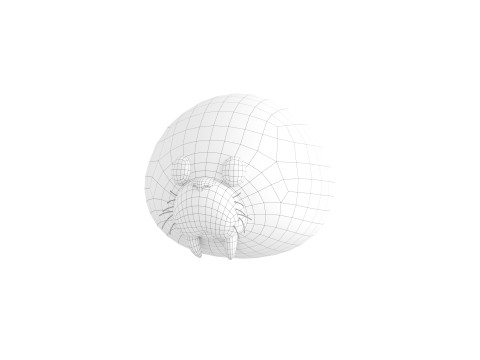 Prop239 Walrus Head 3D Модель