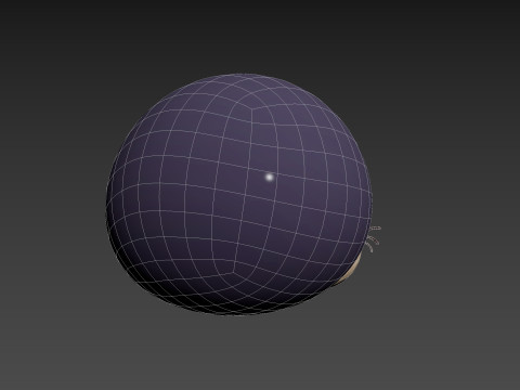 Prop240 Seal Head 3D Model