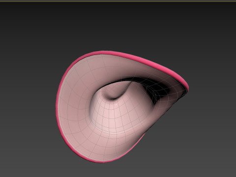 Prop185 Cowgirl Hat 3Dモデル