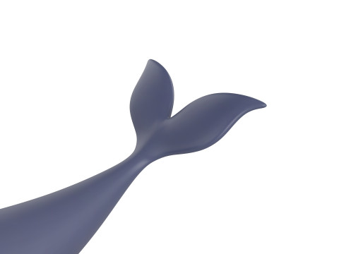 Character283 Narwhal Model 3D
