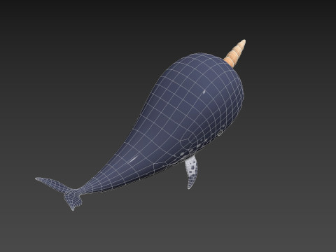 Character283 Narwhal Model 3D