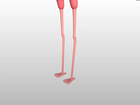 Character304 Flamingo 3D Model