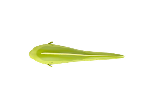 Character306 Eel 3D Model