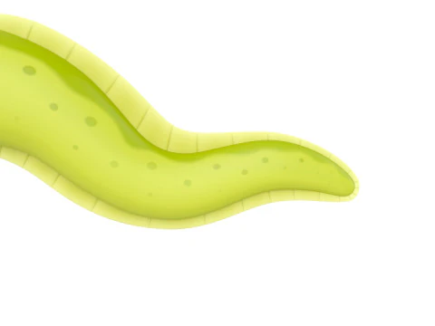 Character306 Eel 3D Model