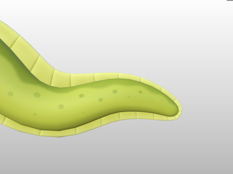 Character306 Eel 3D Model