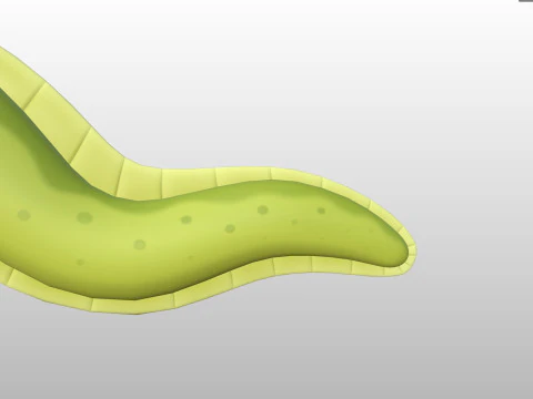Character306 Eel 3D Model
