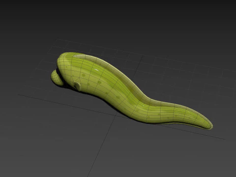 Character306 Eel 3D Model