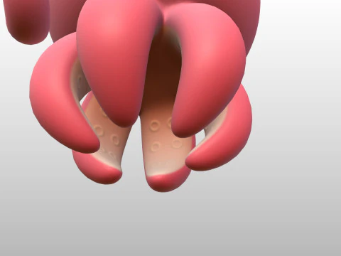 Character308 Octopus 3D Model