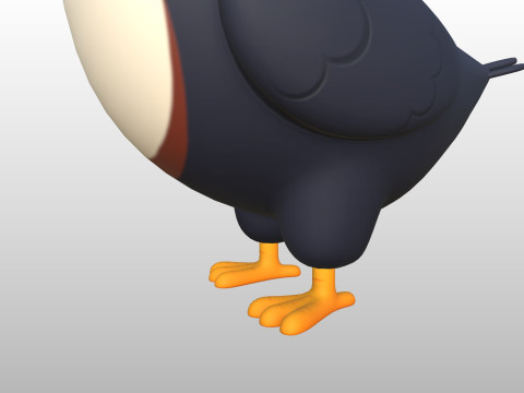 Character312 Toucan Model 3D