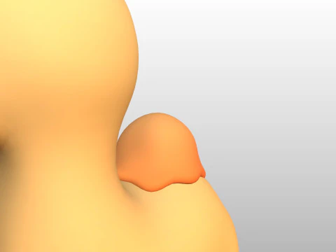 Character316 Camel 3D Model