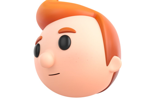 Prop291 Boy Head 3D Modell