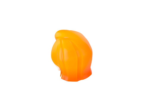 Prop292 Woman Head 3D Model