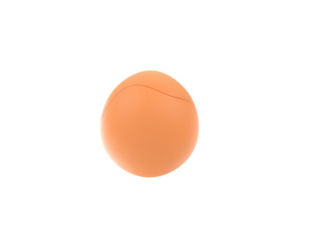Prop298 Egg 3D Model