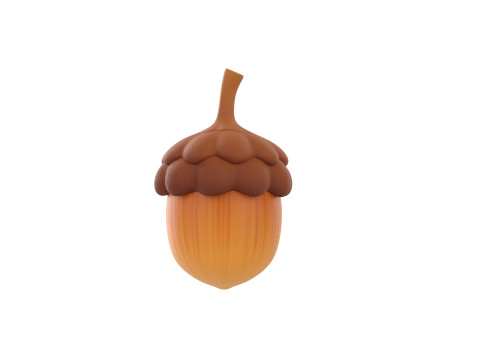 Prop300 Acorn 3D Model