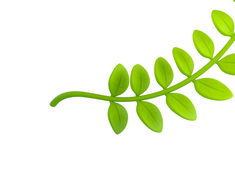 Prop310 Leaves Branch 3D 模型