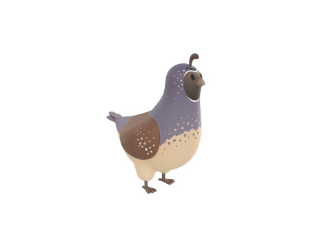 Character327 Quail 3Dモデル