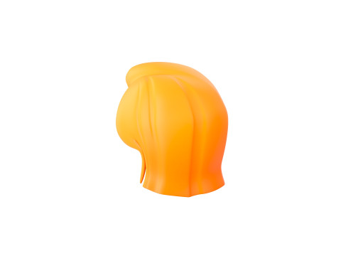 Prop312 Women Hair Modello 3D