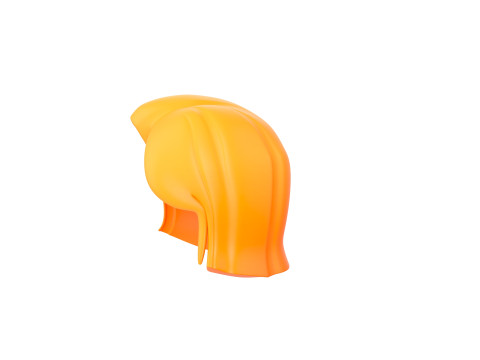 Prop312 Women Hair Modello 3D