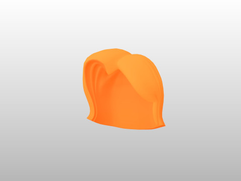 Prop312 Women Hair Modello 3D
